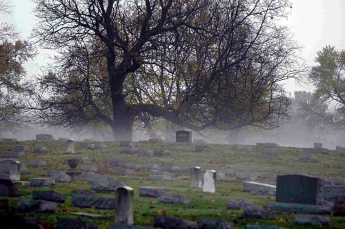 A misty cemetery with scattered gravestones and a large, bare tree in the background.