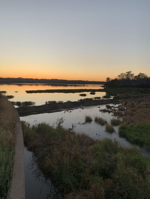 A serene landscape at sunset, featuring calm water, marshy grass, and silhouettes of trees against a colorful sky.