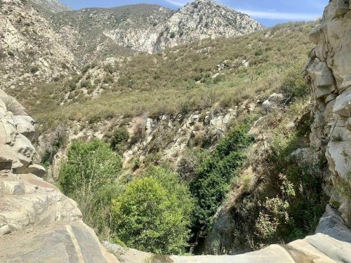 A scenic view of a rocky canyon surrounded by lush greenery and mountains under a clear blue sky.