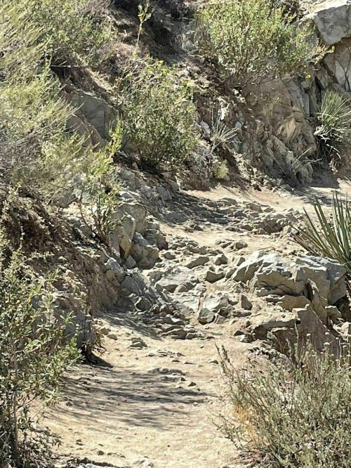 Rocky hiking trail surrounded by sparse vegetation and rocky terrain under bright sunlight.