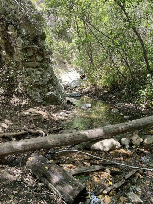 A serene creek flows through a wooded area, surrounded by rocks and fallen logs, with lush greenery on either side.