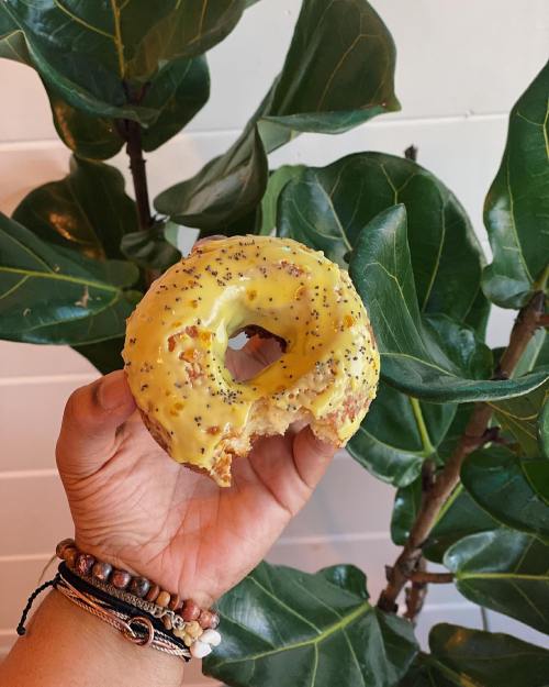 A hand holding a yellow frosted donut with poppy seeds, set against a backdrop of green leaves.