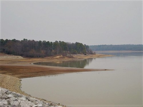 A calm lake with a low water level, surrounded by a forested shoreline under a gray sky.