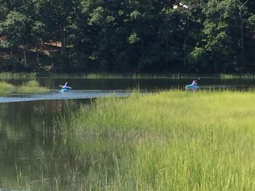 Two people kayaking on a calm lake surrounded by lush green grass and trees.