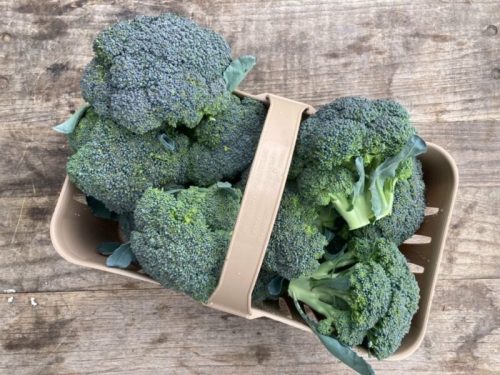 A basket filled with fresh, vibrant green broccoli on a wooden surface.