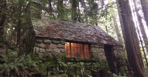 A small stone cabin nestled among tall trees and ferns, with a moss-covered roof and warm light glowing from the windows.