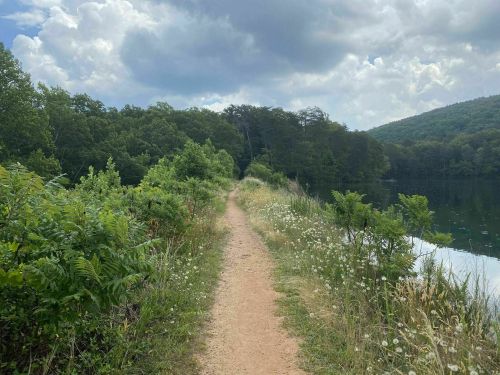 A sandy path lined with greenery leads to a calm lake under a cloudy sky.