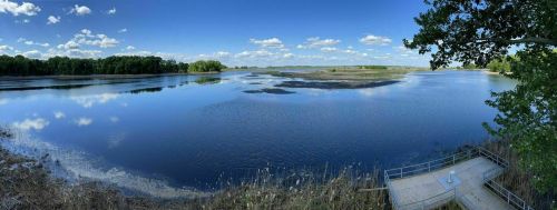A serene river landscape with calm water, blue sky, fluffy clouds, and lush greenery along the banks.