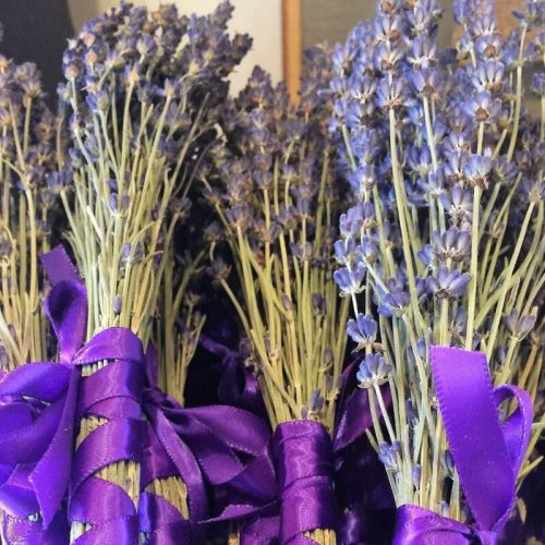 Bunches of dried lavender tied with purple ribbons, showcasing vibrant purple flowers and green stems.