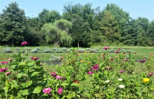A vibrant garden filled with colorful flowers in the foreground, set against a lush green landscape and trees.