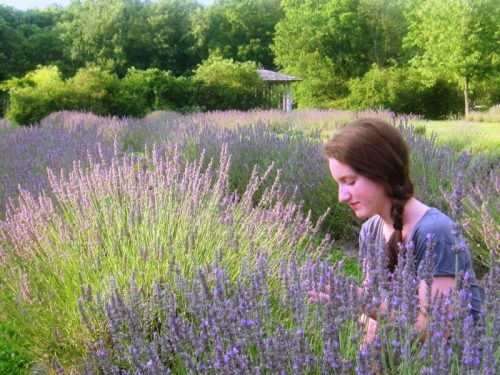 A young woman with a braid sits among blooming lavender fields, enjoying the serene natural surroundings.