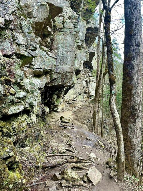 A rocky trail winds through a forested area, flanked by steep cliffs and trees.