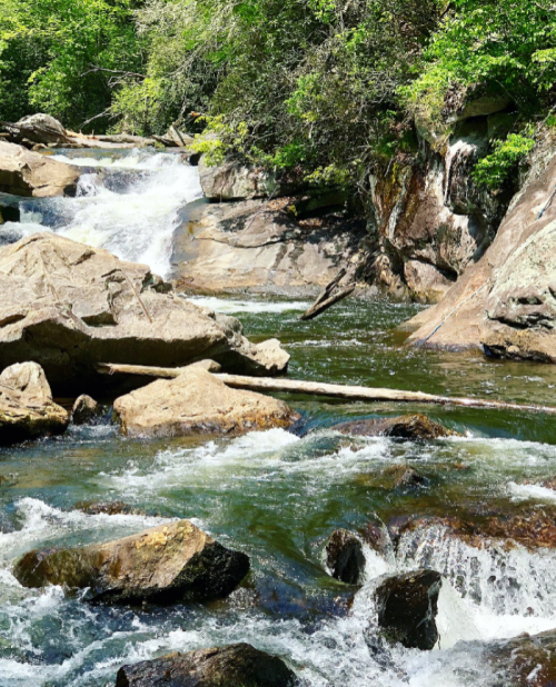 A serene river flows over rocks, surrounded by lush greenery and trees, creating a peaceful natural scene.