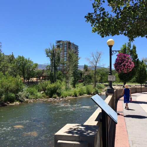 A sunny riverside scene with a walking path, greenery, and a tall building in the background. A person walks by the water.