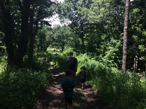 Two children walk along a wooded trail, surrounded by lush greenery and trees on a sunny day.