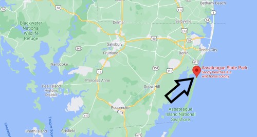 Map showing Assateague State Park, highlighting sandy beaches and a wild horse colony, near Ocean City, Maryland.