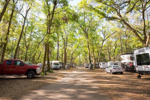 A tree-lined campground with parked RVs and cars along a dirt road, surrounded by lush greenery.