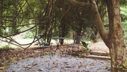 A serene outdoor space with a small table and two chairs surrounded by trees and scattered leaves.