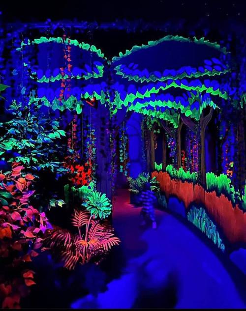 A vibrant, glowing forest scene with colorful trees and plants, featuring a child walking along a winding path.