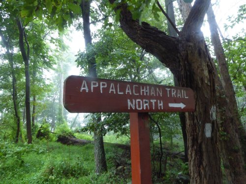 A wooden signpost indicating "Appalachian Trail North" surrounded by lush green trees in a misty forest.