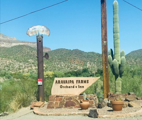 Sign for Aravaipa Farms Orchard & Inn, with a large cactus and mountainous landscape in the background.
