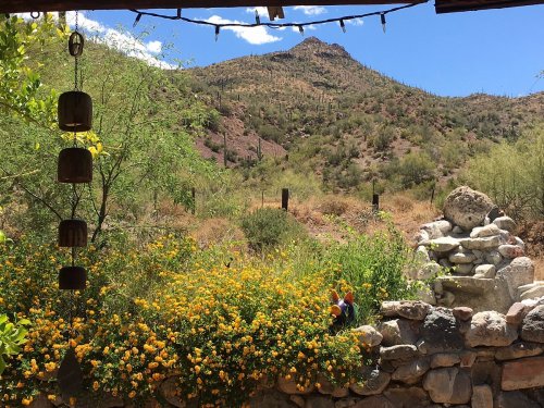 A scenic view of mountains and desert vegetation, framed by colorful flowers and rustic stonework.