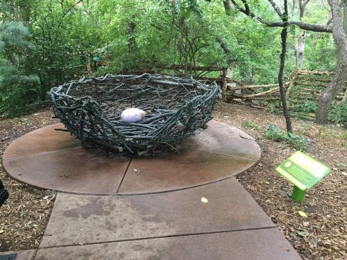 A large, twig nest sits on a circular platform in a wooded area, with a single egg in the center and a sign nearby.