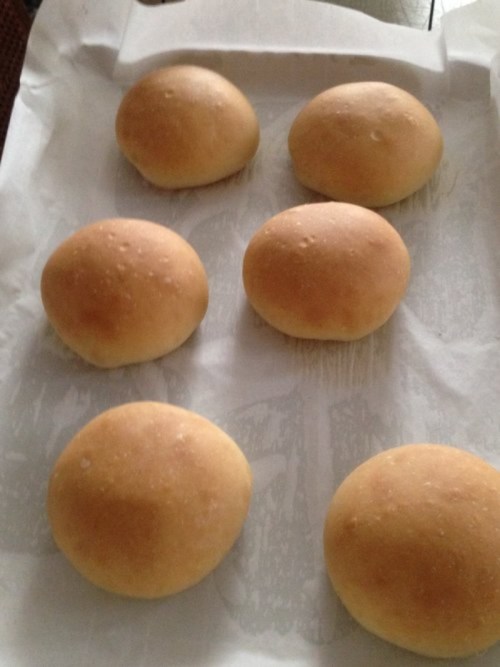 A tray of six freshly baked, golden-brown bread rolls on parchment paper.