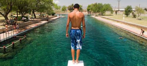 A person stands on a diving board overlooking a clear, blue swimming area surrounded by trees and people enjoying the sun.