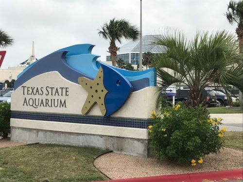 Sign for the Texas State Aquarium featuring a blue fish design and surrounded by palm trees and yellow flowers.