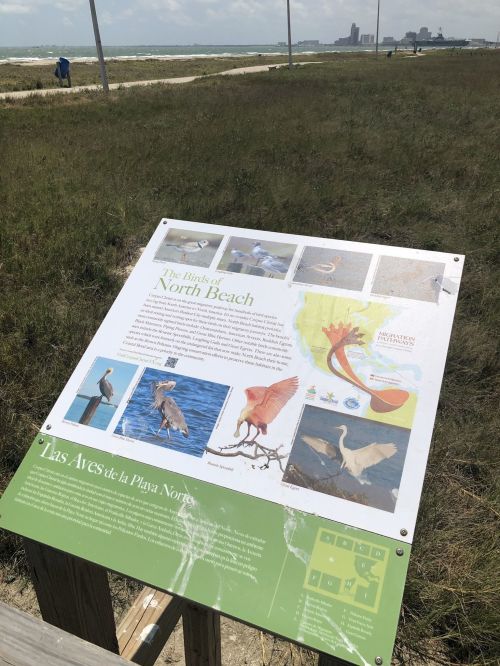 Sign about the birds of North Beach, featuring images and a map, with a grassy area and city skyline in the background.