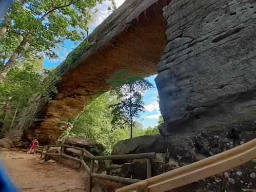 A natural stone arch surrounded by lush greenery and trees, with a wooden path in the foreground.
