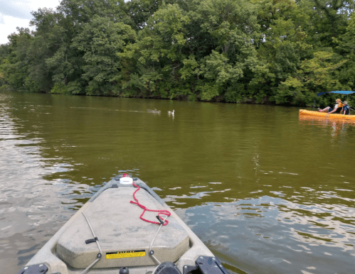 A kayak on a calm river with two ducks swimming nearby and another kayak with people in the background.