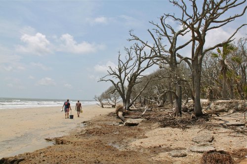 Two people walk along a sandy beach with bare trees and a calm ocean under a partly cloudy sky.