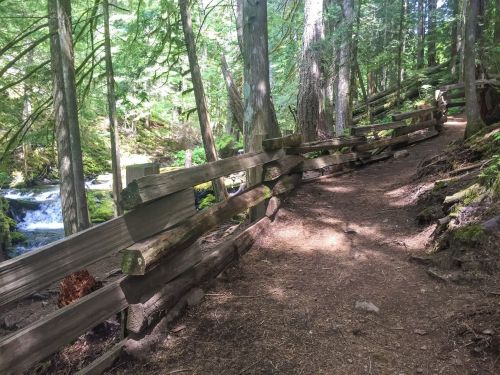 A wooded trail with a wooden fence alongside a flowing stream, surrounded by tall trees and lush greenery.