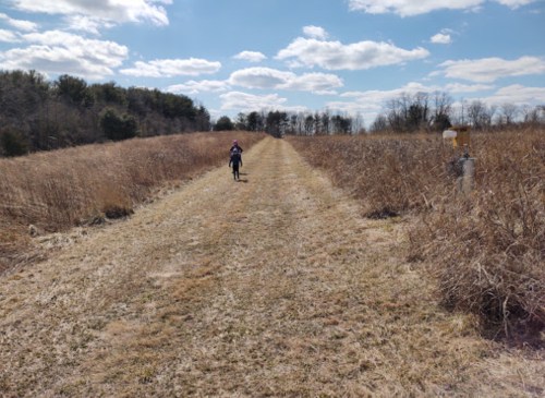 A person riding a bike on a grassy path surrounded by dry vegetation under a blue sky with fluffy clouds.