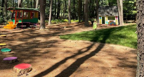 A colorful play area in a wooded setting, featuring a small house and a play structure surrounded by grass and pine needles.