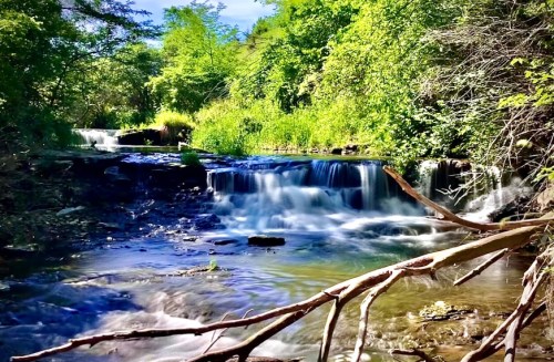 A serene stream flows through lush greenery, with gentle waterfalls and scattered branches along the water's edge.