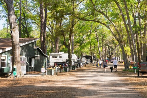 A tree-lined path in a campground with cabins and RVs, people walking, and sunlight filtering through the leaves.