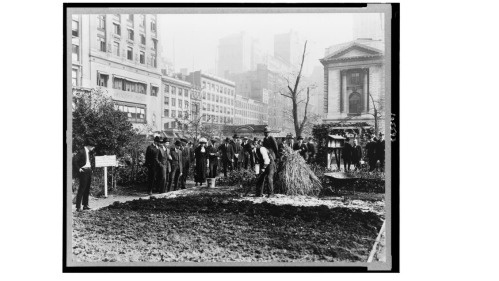 A historical black-and-white photo of a crowd observing a garden planting in an urban setting, with buildings in the background.