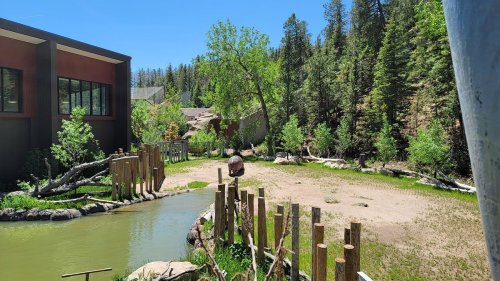 A sunny outdoor area with a pond, trees, and wooden posts, surrounded by greenery and rocky terrain.