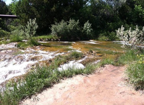 A serene stream flows through a grassy area, surrounded by lush greenery and small shrubs under a clear blue sky.