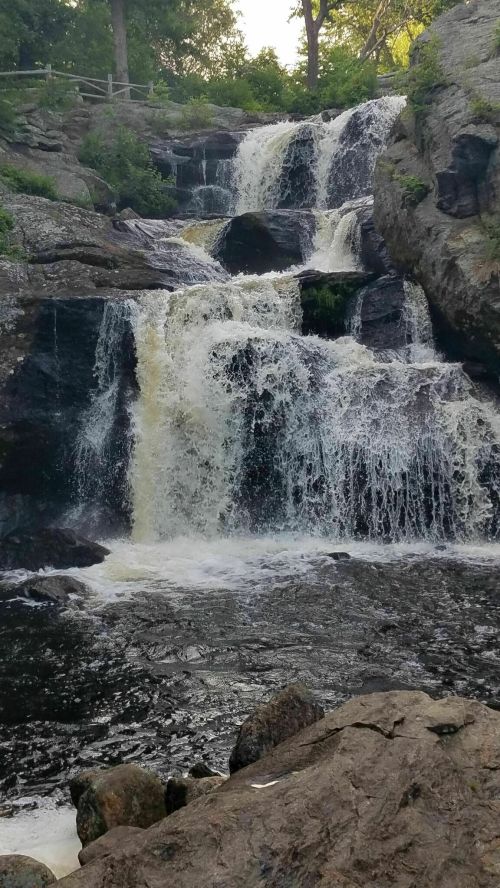 A cascading waterfall flows over rocky terrain, surrounded by lush greenery and a serene pool at the base.
