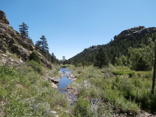 A serene landscape featuring a winding stream surrounded by lush greenery and rocky hills under a clear blue sky.