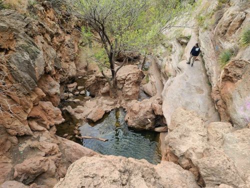 A rocky landscape with a small pool of water surrounded by trees and a person walking along the edge.