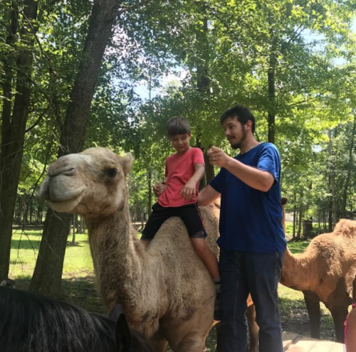 A child sits on a camel while an adult guides the camel in a wooded area on a sunny day.