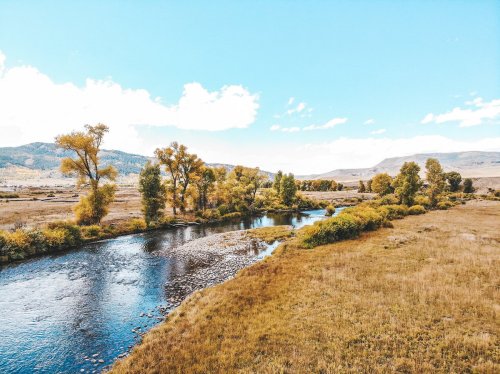 A serene river flows through a landscape of golden trees and grassy fields under a clear blue sky.