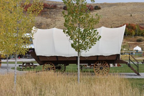 A covered wagon parked in a grassy area, surrounded by trees and autumn foliage.