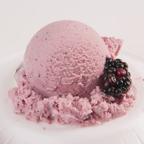A scoop of pink berry ice cream garnished with blackberries on a white plate.