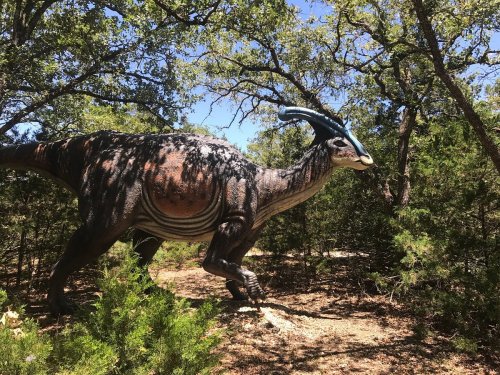 A large dinosaur statue with a curved horn stands among trees in a wooded area.